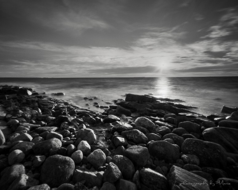 Zero Image 45 50mm focal length Ilford FP4+ 4x5 Developed in Kodak Tmax dev 1:4