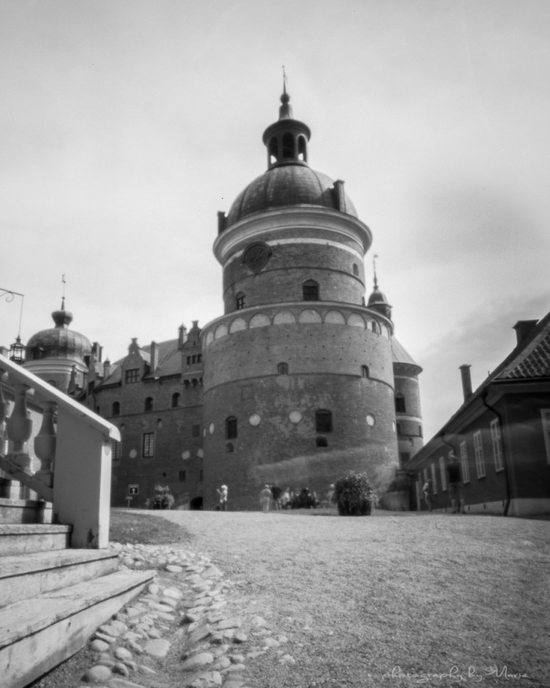 Harman Titan Pinhole 4x5 Ilford FP4+  4x5 Kodak Tmax dev 1:4