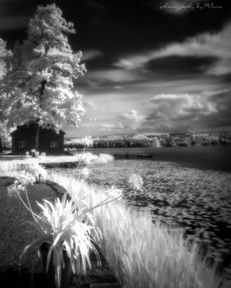 Harman Titan Pinhole 4x5 Efke IR 820 + Wratten 89B Kodak Tmax dev 1:4