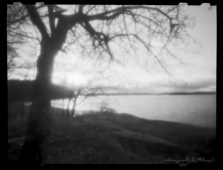 Zero Image 612F with zone plate setting Fuji Acros 100 Kodak Tmax dev 1:4