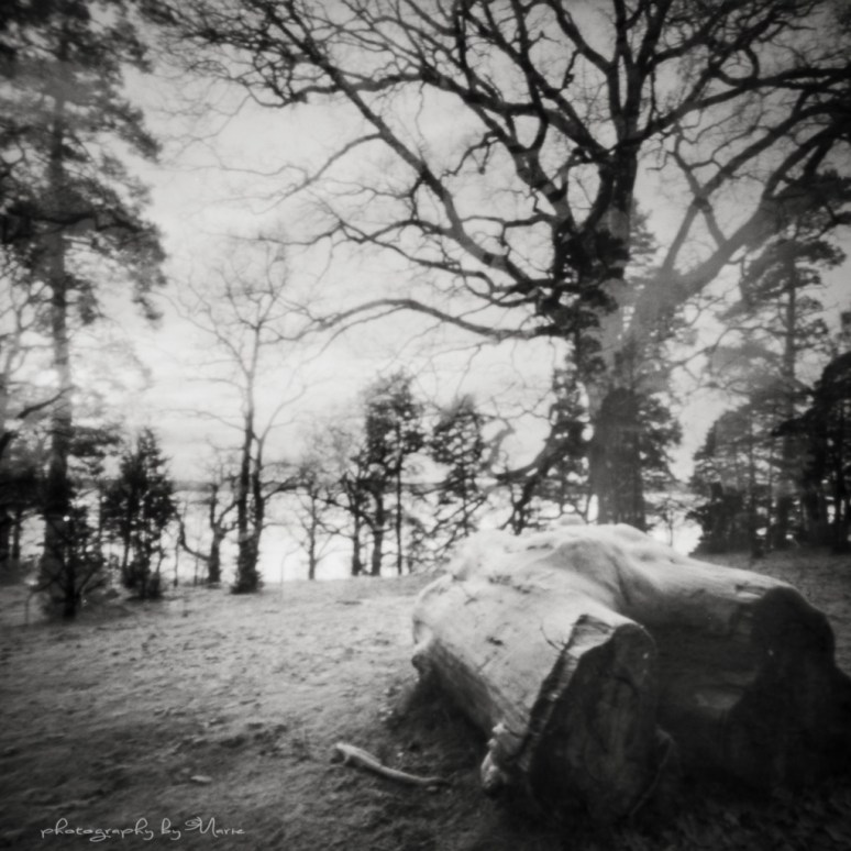 Zero Image 2000 Kodak T-Max 100 TMX Kodak Tmax dev 1:4