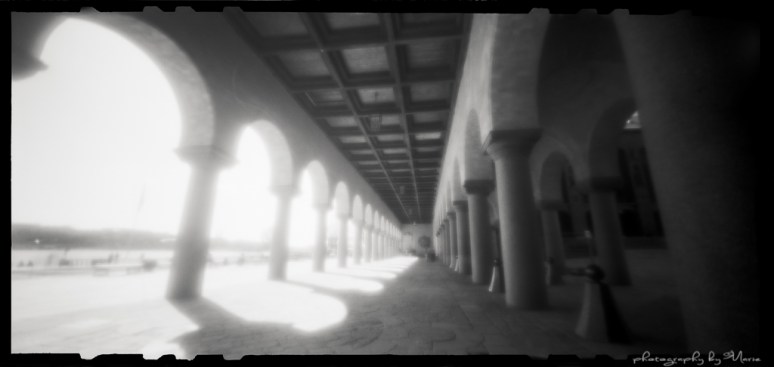 Zero Image 612F with zone plate setting Ilford PanF+ ISO 50 Ilfotec DD-X