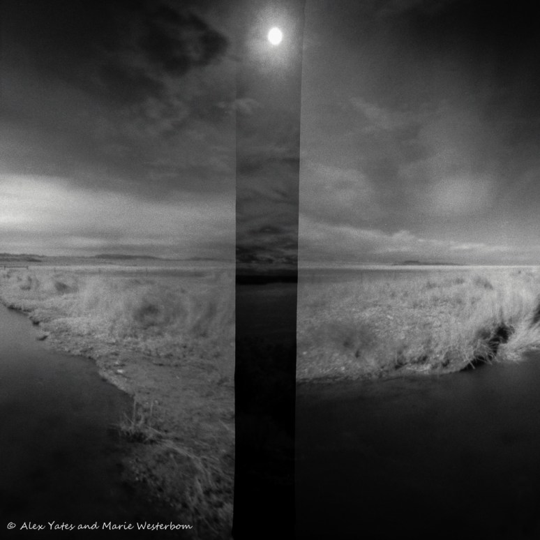 Zero Image 2000 (x2) Ilford SFX @ ISO 3 (2x ISO6) Developed in Ilford Ilfotec DD-X 1:4