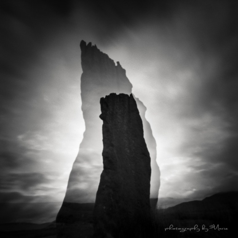 Zero Image 2000 Fuji Acros 100 Kodak Tmax dev 1:4