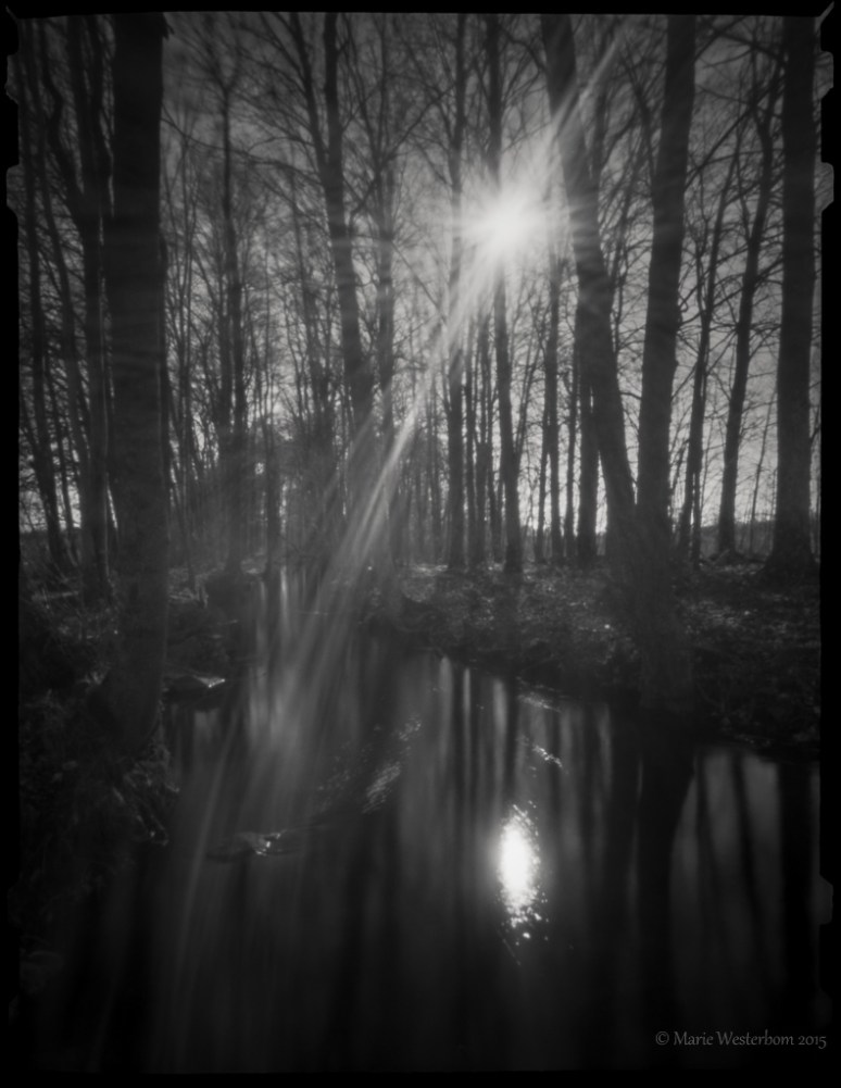 Zero Image 612F with zone plate setting Kodak T-Max 100 Kodak Tmax dev 1:4