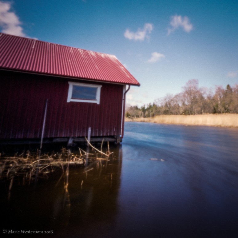 Zero Image 2000 BTN Fuji Reala 100