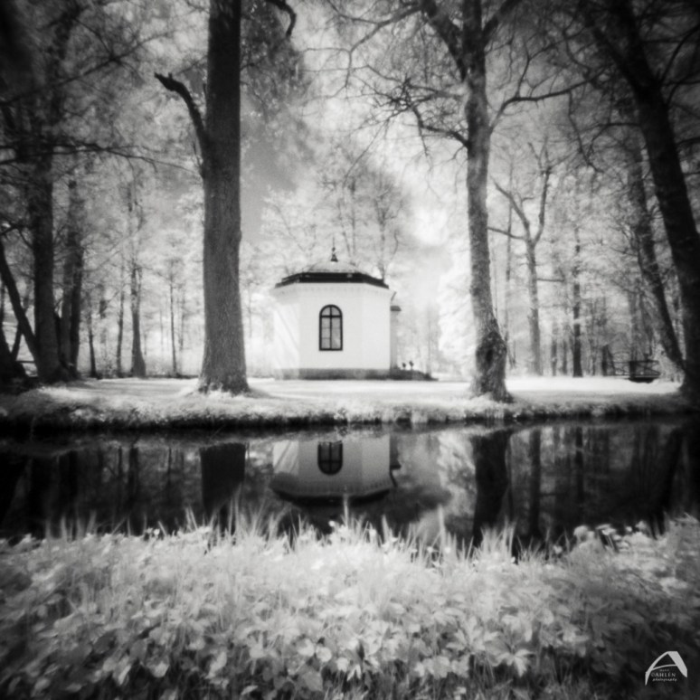 Zero 2000 with Wratten 89B Rollei IR 400 Kodak HC-110 B