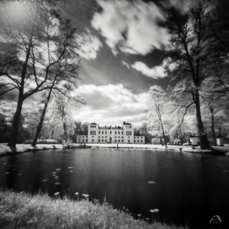 Zero 2000 with Wratten 89B Rollei IR 400 Kodak HC-110 B